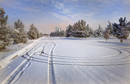 Memories of winter / ***