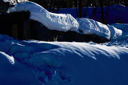 March / 2017-03-11-048-C50-080(820)