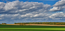 Belarusian landscape / ***