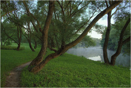 morning on a footpath / ***