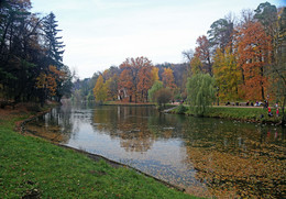 in the park / ***