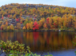 The palette of autumn / ***