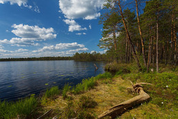 At the lake ... / ***