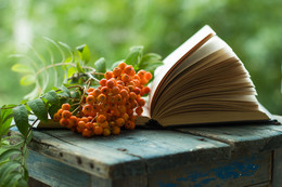 Autumn romance / ***