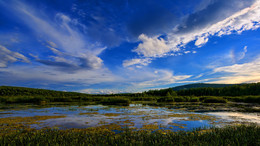 Summer landscape / ***