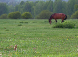 A meeting / ***