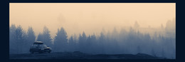 The mist / ***