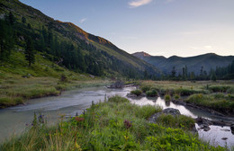 &nbsp; / am frühen Morgen