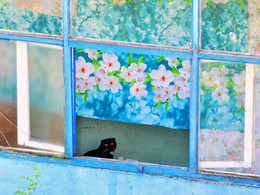 &nbsp; / [img]http://s018.radikal.ru/i512/1708/81/248b7bc368d5.jpg[/img]
