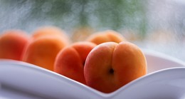 Apricots / ***