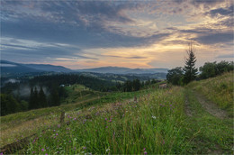 Evening / ***