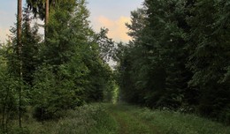 At dawn / ***