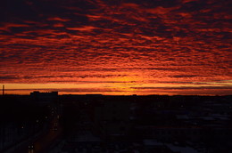 Bright sunset / ***
