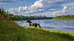 on the shore / ***