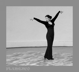 Flamenco 2 / ***