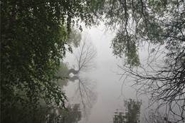 Window to nature / ***