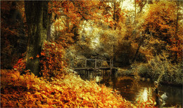 autumn soon / ***