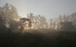 In the morning light / ***