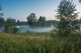 Evening fog / ***