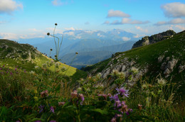 Mountain landscape / ***