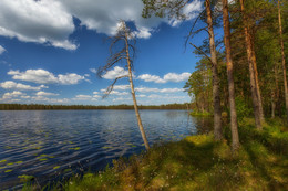 At the lake ... / ***