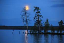 Evening on the lake / ***