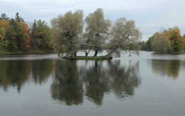 in the park / ***