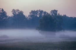 Foggy morning / ***