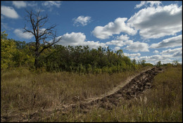 Autumn sketches / ***