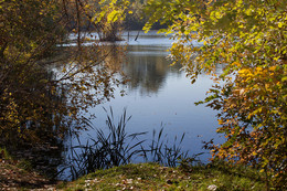 Autumn Pond / ***