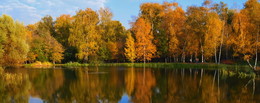 gold autumn / ***