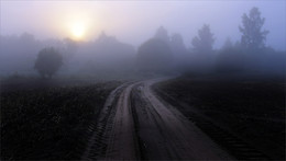 On the way to the dawn / ***