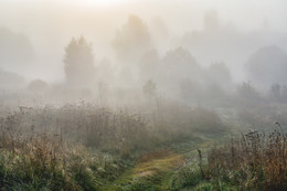 Autumn mists / ***
