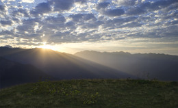 At dawn / ***