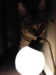 Let there be light / ***