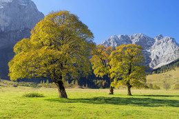 Ahornboden / Ahornboden