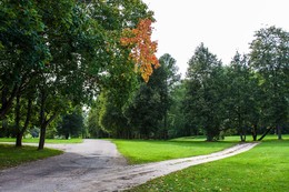 Autumn sketches / ***