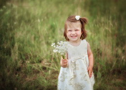 Chamomile summer / ***