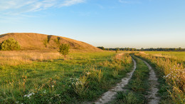 Morning in the Meadow / ***