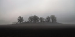 In the stillness of the misty / Canon EOS 5D MII