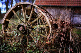 the wheel of history / ***