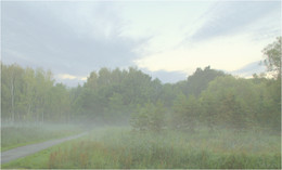 Foggy morning / ***