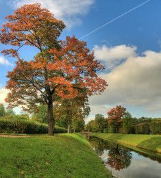 in the park / ***