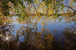 reflections / ***