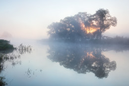 Morning silence / ...