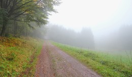 road in the fog / ***