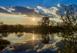 Reflection / ***