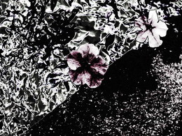 Sketch with flower / 2015-09-30-200-C70-002(83)