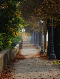 October has come ... / ***