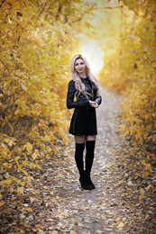 gold autumn / ***
